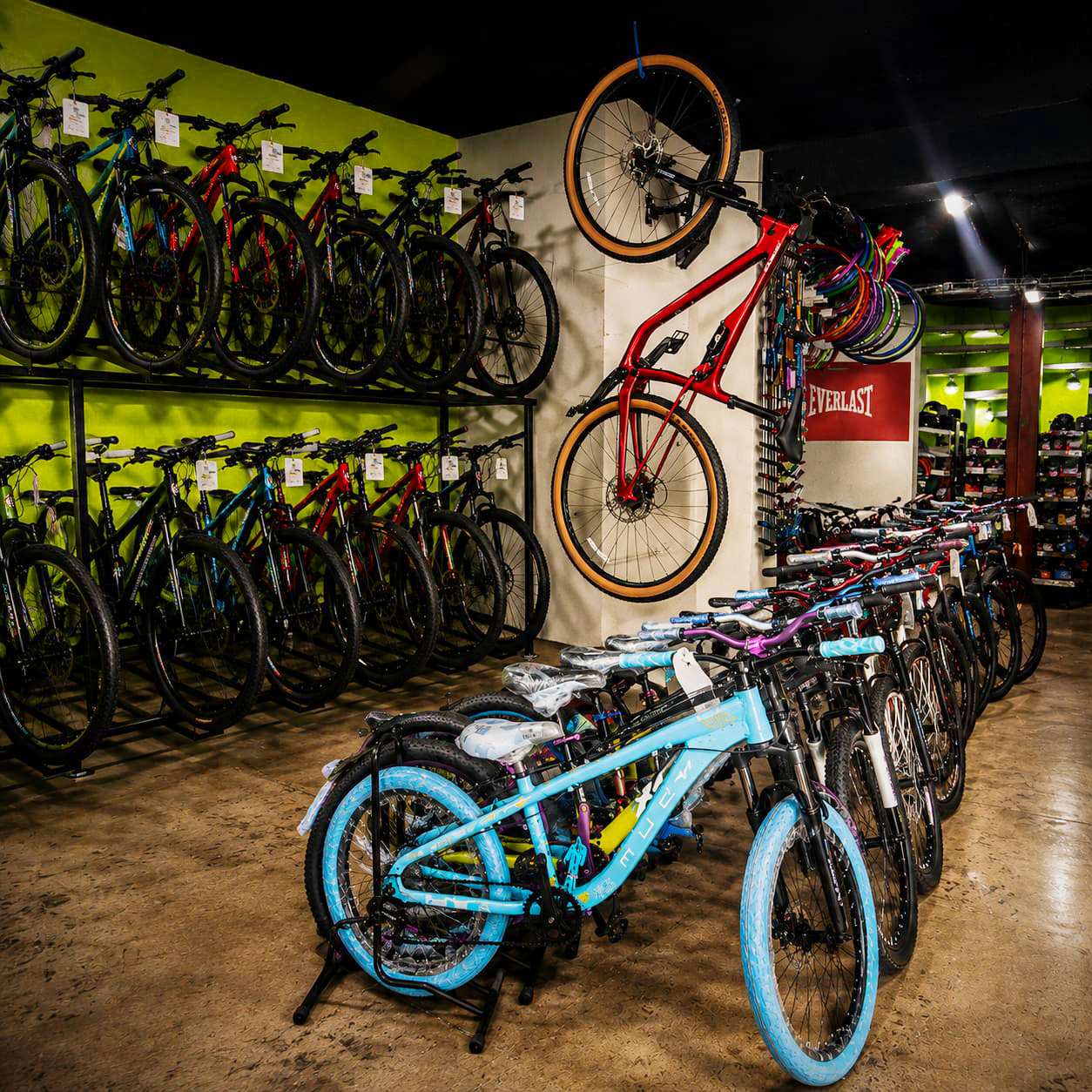 Bicicletas